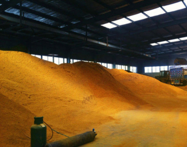 Dried Distiller Grains Soluble